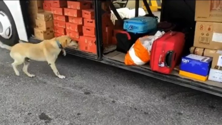 Yolcu otobüsünde 12 kilo uyuşturucu ele geçirildi