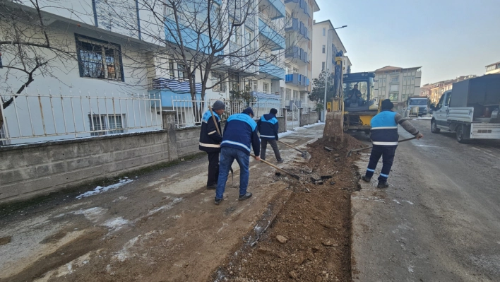 Yollardan Parklara, Temizlikten Denetime Yoğun Mesai