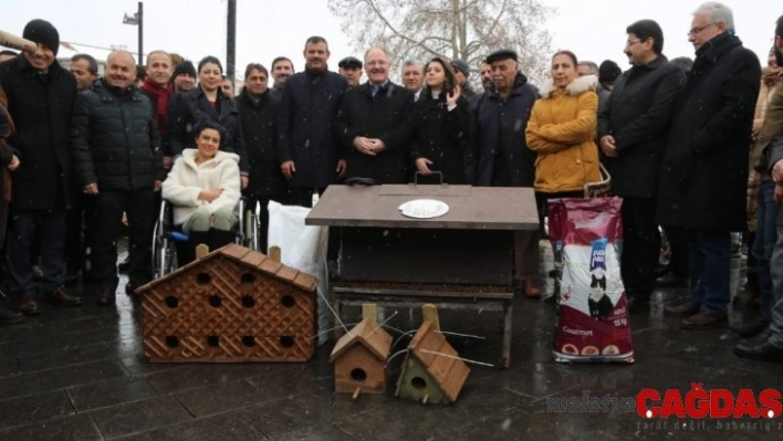 Yükümlüler sahipsiz hayvanları yuvalarına kavuşturdu