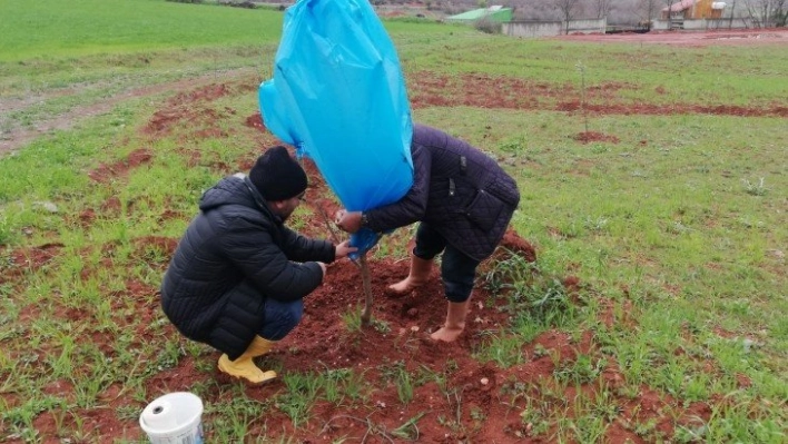 Zirai dona karşı naylonlu önlem