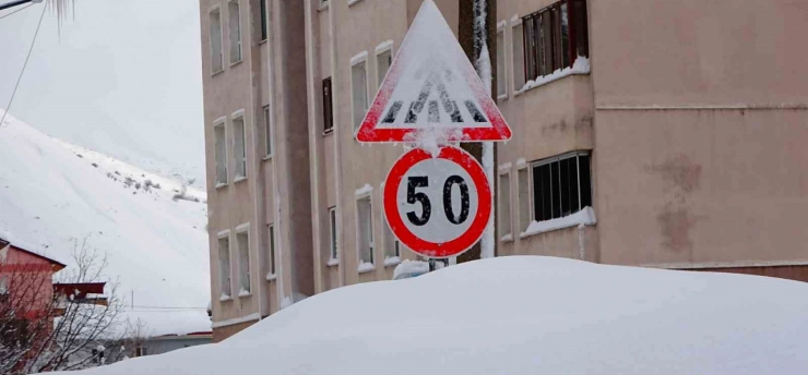 Bitlis kara gömüldü: 294 köy yolu ulaşıma kapandı