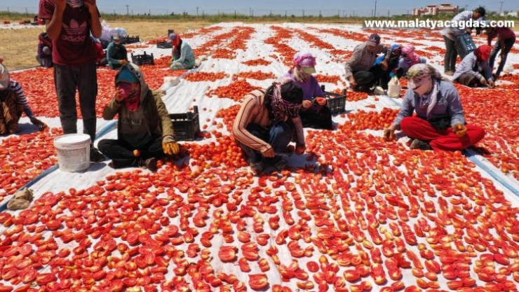 'Akça kadınlar' hem üretiyor hem ihraç ediyor