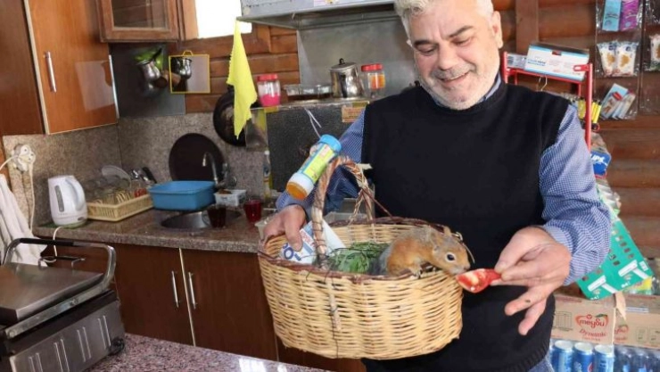 'Boncuk' sincap çay ocağının maskotu oldu