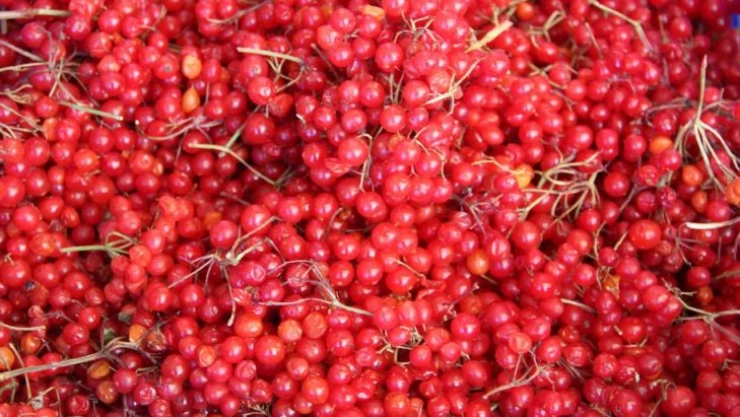 'Gençlik iksiri' kış öncesi rağbet görüyor