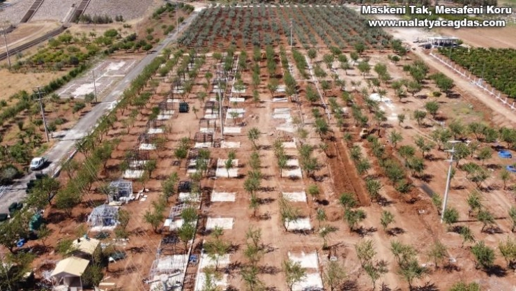 'Hobi bahçesi' projesinde sona yaklaşılıyor