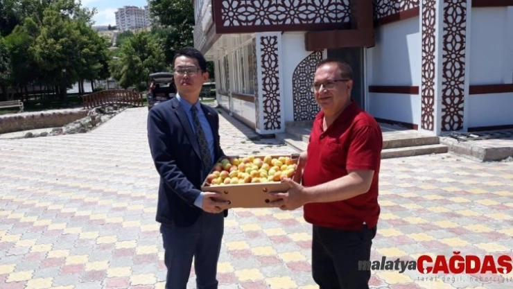 Kadın Mesleki Eğitim ve İş Atölyesi Projesi geçer not aldı