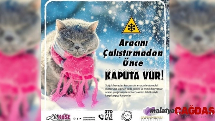 'Kaputa vurun' kampanyası