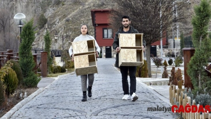 'Kediler üşümesin' diye kedi evleri yapıp tüm şehri donattılar