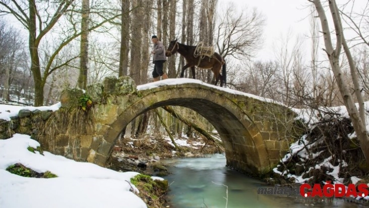 'Meram'da kış' fotoğraf yarışması başladı