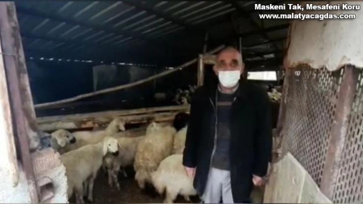 18 Hayvanı Çalınan Besicinin Yüzünü Jandarma Güldürdü