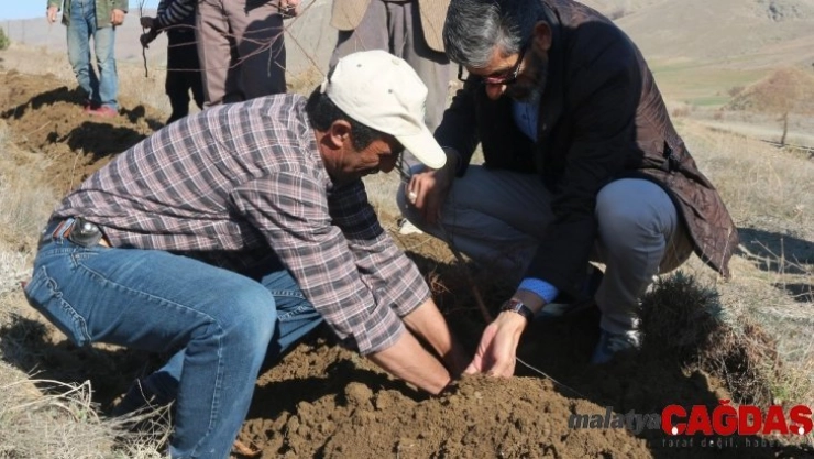 2 Bin Badem fidanı toprakla buluştu