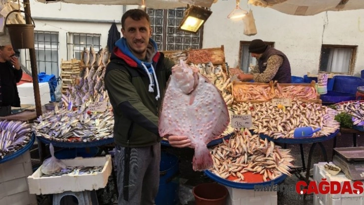 2 kilo 800 gram kalkan balığı 450 liraya alıcı buldu