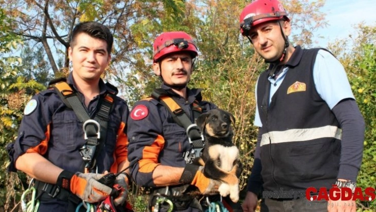 30 metrelik kuyuya düşen yavru köpek operasyonla kurtarıldı