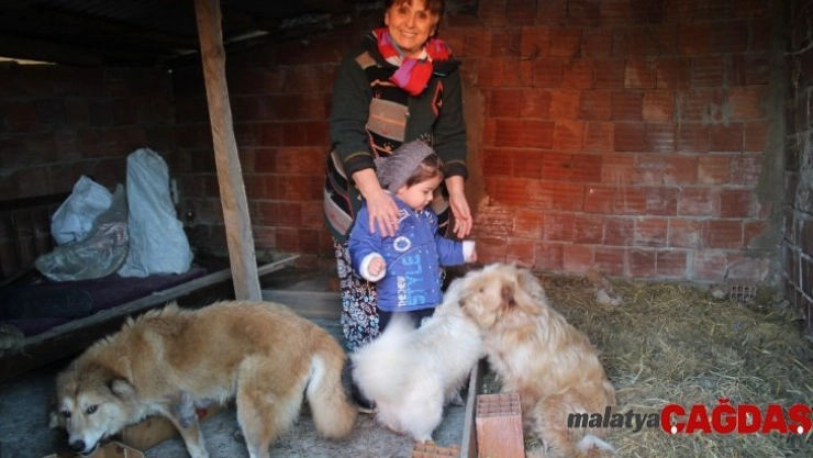 40 yıllık hayvan sevgisini evinin bahçesine taşıdı