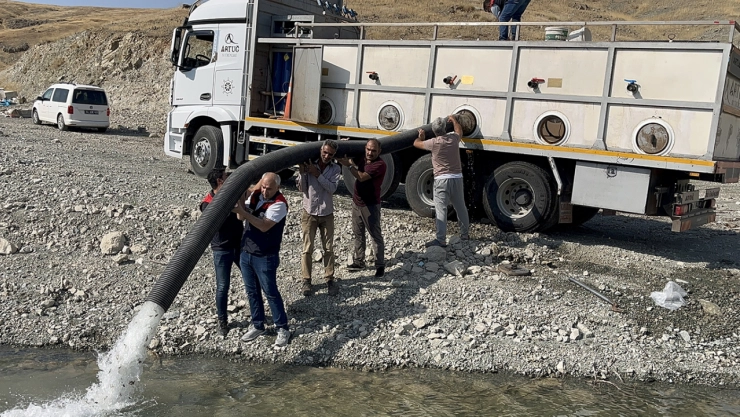 5 ilçedeki 10 baraj ve gölete balıklandırma çalışması yapıldı