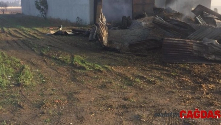 6 bin saman balyası kül oldu