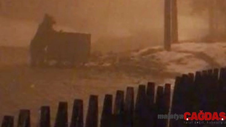 Aç kalan ayı çöp konteynerinde yiyecek aradı