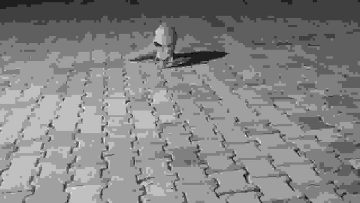 Aç tilki korucu kulübesine geldi, karnını doyurup gitti