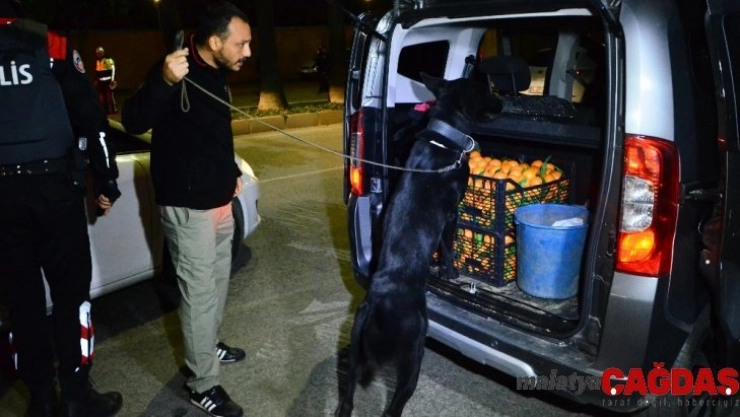 Adana'da 2 bin 647 polisle uygulama