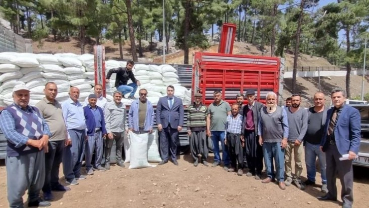 Adana'da arıcılara 945 ton şeker desteği yapıldı