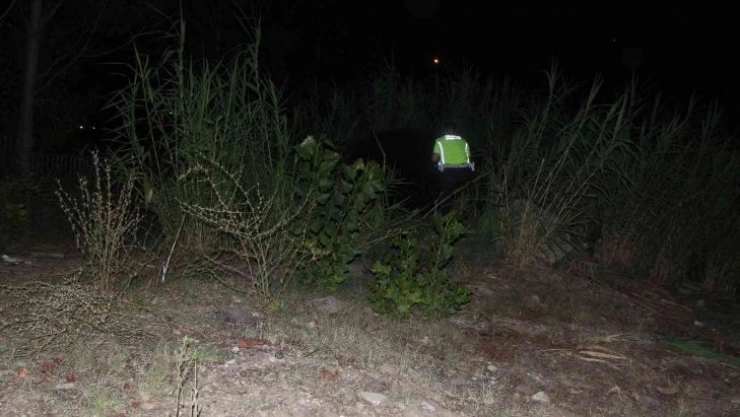 Adana'da otomobil otluk alana devrildi: 2 yaralı