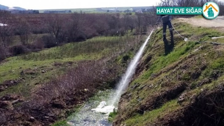 Adıyaman'da haşereyle mücadele devam ediyor