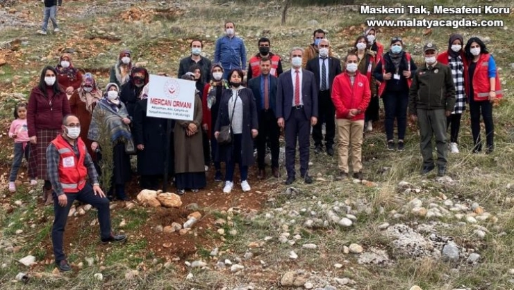 Adıyaman'da Mercan Hatıra Ormanı oluşturuldu
