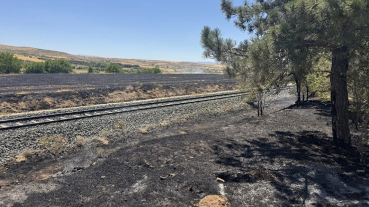 Ağaçlık alana sıçrayan yangın söndürüldü