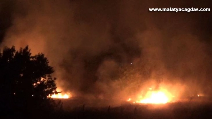 Ağaçlık alanda çıkan yangın kontrol altına alındı