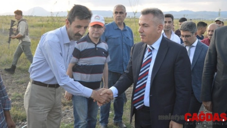 Ağrı'da iki yılda 126 bin ağaç dikildi