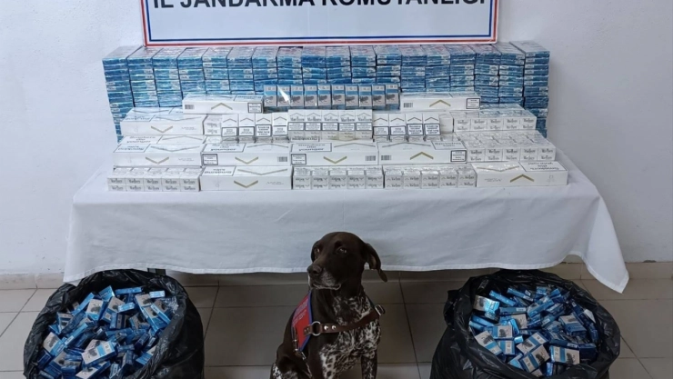 Ağrı'da kaçakçılık operasyonunda 3 tır şoförü gözaltına alındı