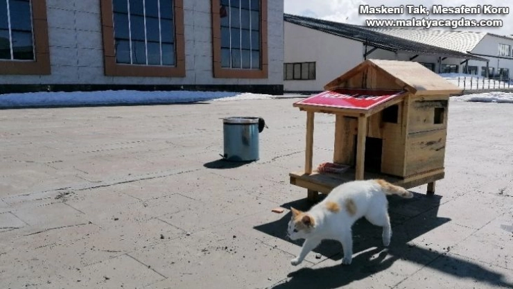 AİÇÜ'de Minik Dostlar Unutulmadı