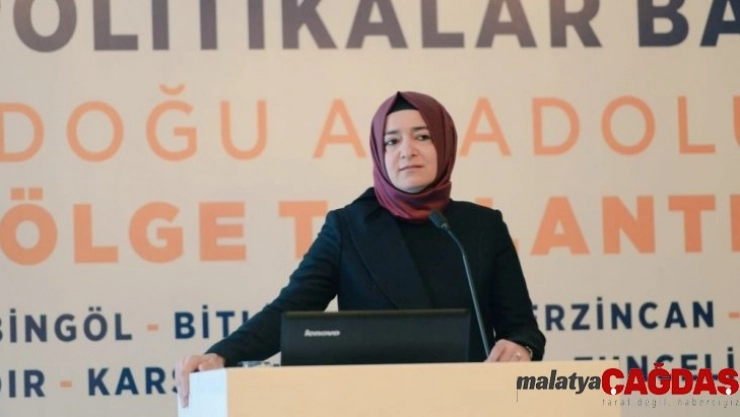 AK Parti Genel Başkan Yardımcısı Kaya Van'da