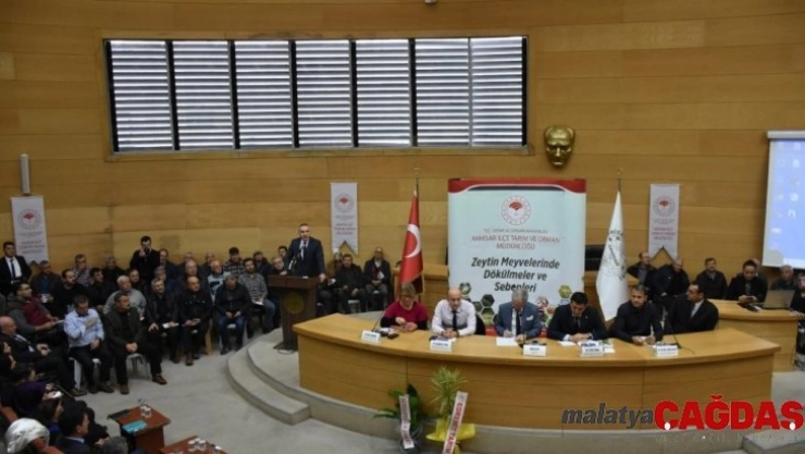 Akhisar'da 'zeytin hastalıkları ve zararlıları' konuşuldu