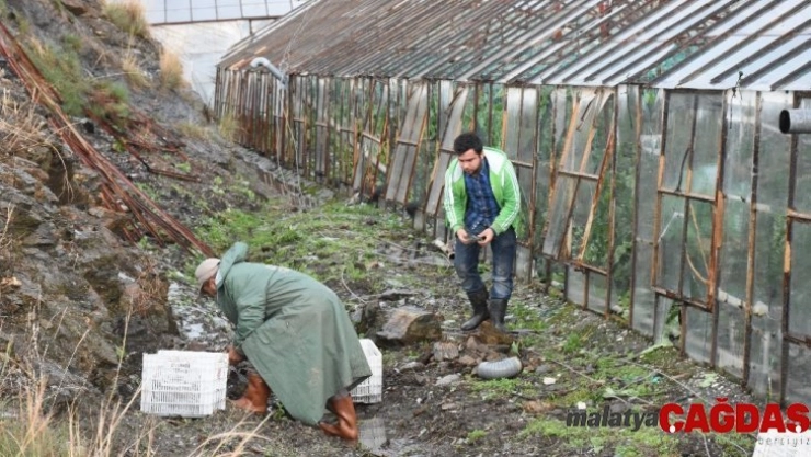 Alanya'da yağmur ve fırtına seraları vurdu