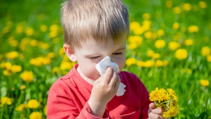 Alerjik rinitli çocuklarda görülen şikayetler ve belirtiler