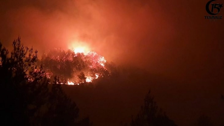 Amanoslar'da orman yangını