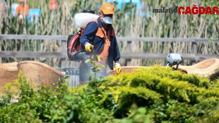 Başkent, Kurban Bayramı'na hazır