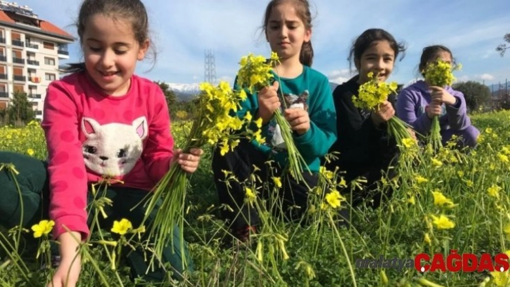 Antalya'da kış ortasında bahar sevinci