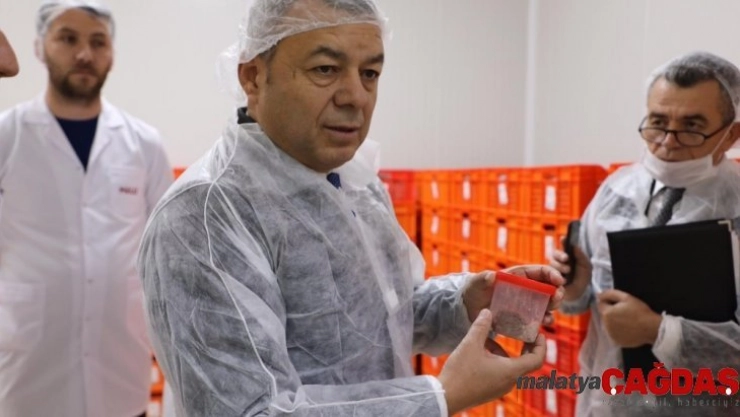 Antalya'da ürün bazlı gıda denetimi