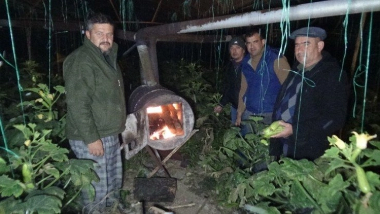 Eksi 2'yi gören üretici seralarda don nöbetine başladı