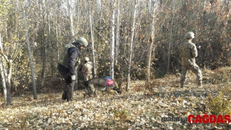 Araziye gizlenen toz esrarı narkotik köpekleri buldu