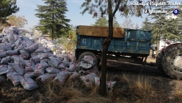 Arguvan'da ihtiyaçlılara kömür dağıtımına başlandı