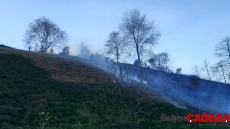 Artvin'de çaylık alanda yangın çıktı