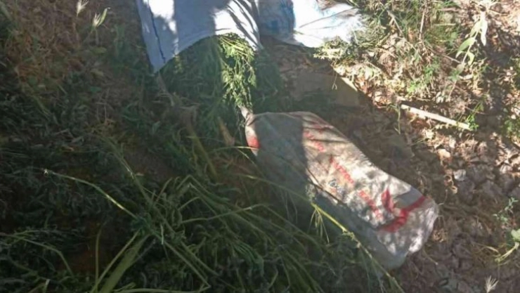 Asayiş Devriye Ekipleri 24 kilo Hint Keneviri ele geçirdi