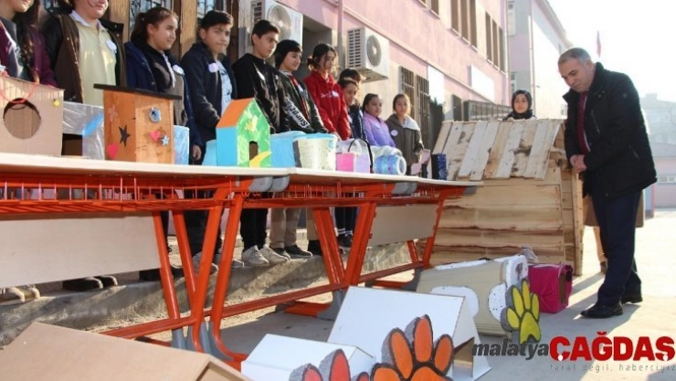 Atık malzemeler sokak hayvanları için kulübe oldu