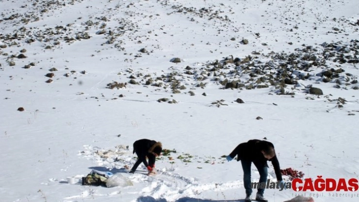 Av ve yaban hayvanları için doğaya yem bırakıldı