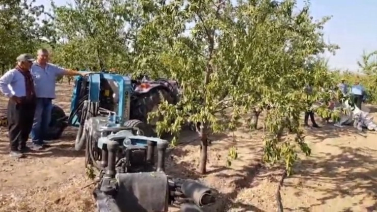 Badem hasat sezonu başladı