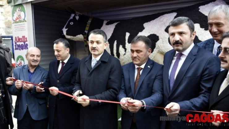 Bakan Pakdemirli 'Akıllı İnek' projesinin açılışını gerçekleştirdi