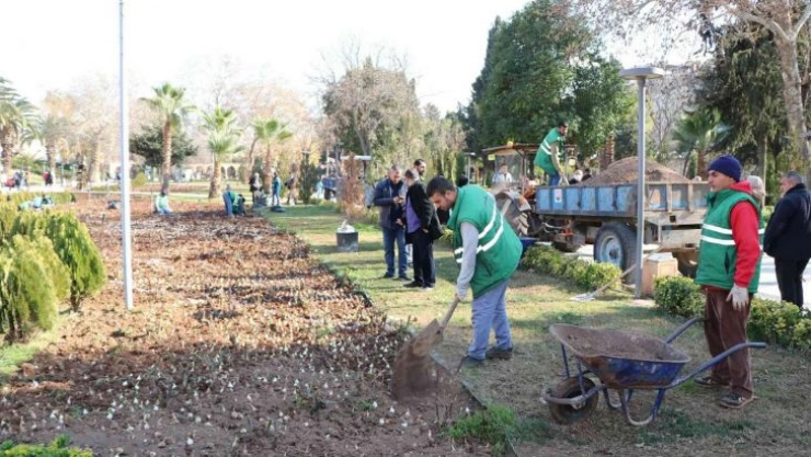 Balıklıgöl'de lale soğanları toprakla buluştu